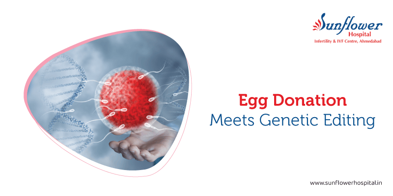 Egg Donation Meets Genetic Editing: A Revolution in Human Reproduction